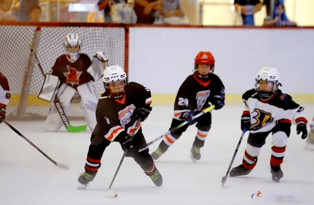 九游游戏下载平台冰球热身赛，雪域闪电队与中原玄武队强势横扫，VAR改判成焦点！战术板得到兑现的简单介绍